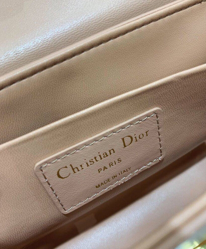 Christian Dior 30 Montaigne Box Bag Pink